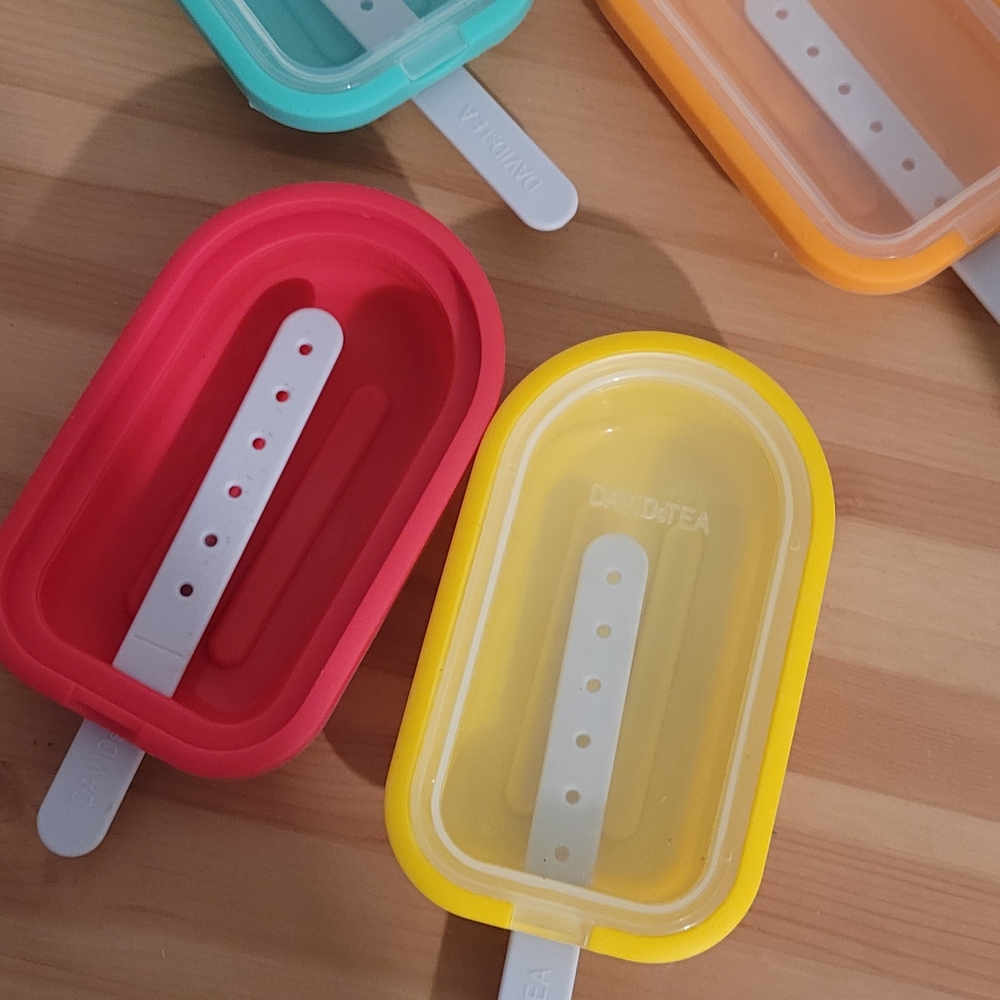 Davids Tea Popsicle Molds